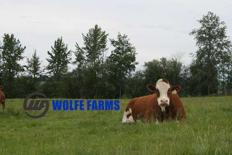 Wolfe Farms